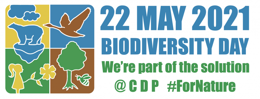 国際生物多様性の日の応援キャンペーンロゴ